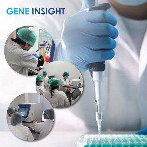 Gene insight - Laboratory Techniques in Molecular Biology hands on training course