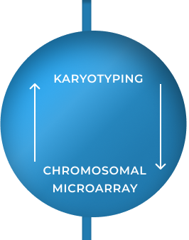 Chromosomal Analysis