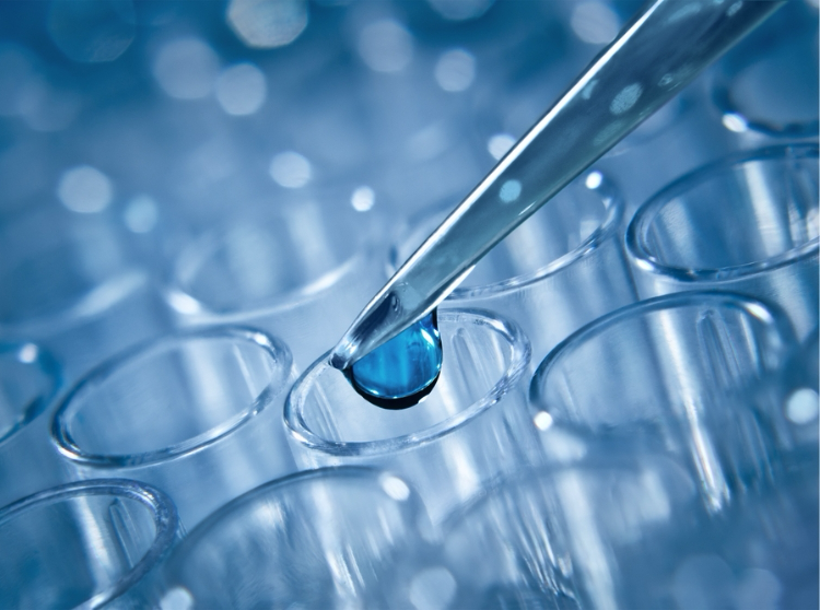 Laboratory